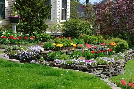 What Color Stones Are Best for Landscaping?