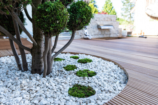 Transform Your Yard: A Complete Guide to Decorative Outdoor Rocks