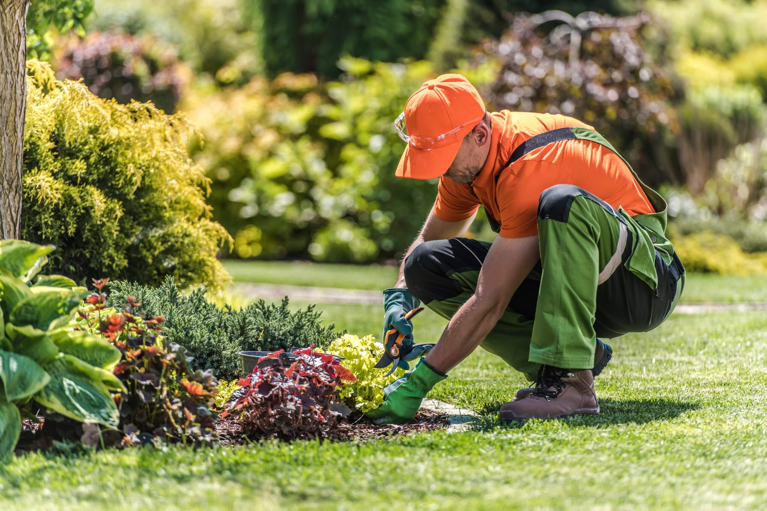 How Do You Landscape A Yard That Floods 