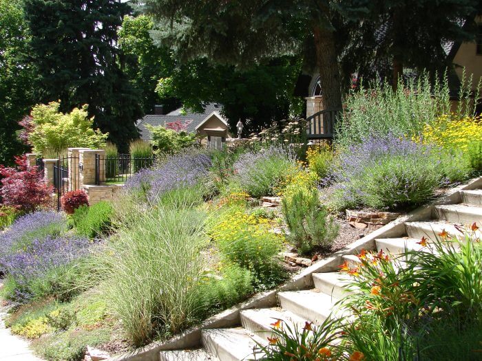 Black Mexican Beach Pebbles - Landscaping Scaled