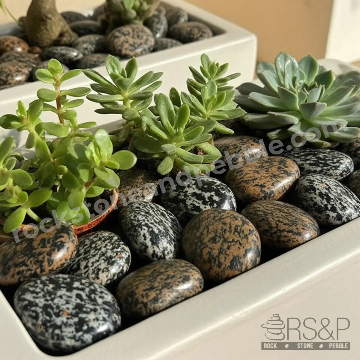 decorative-rocksdecorative-rocks-1